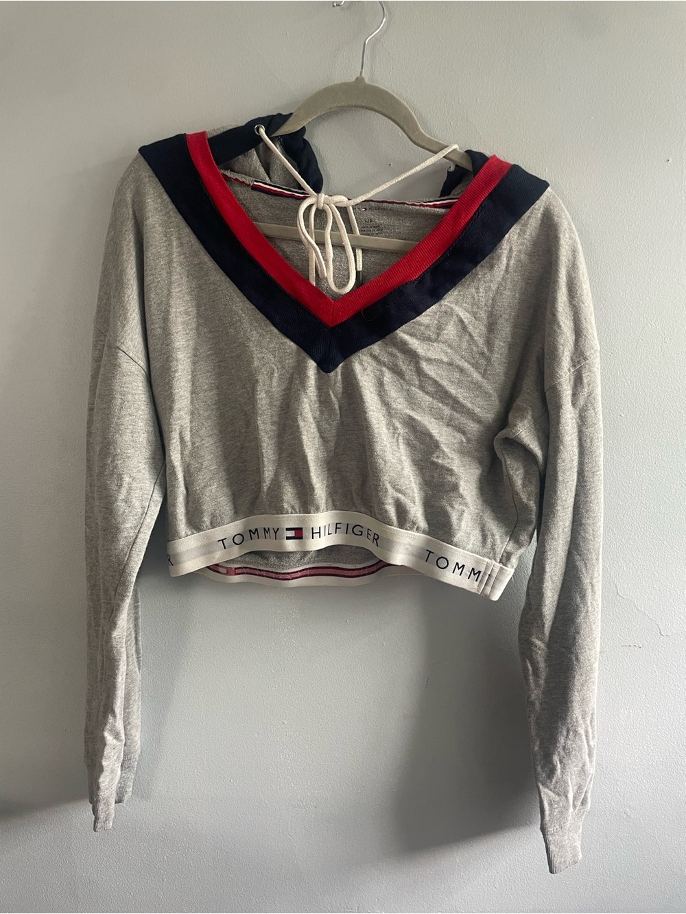 Tommy Hilfiger/Urban Outfitters Gray Hoodie with Red and Navy Trim